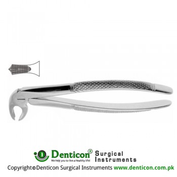Hawk's Bill English Pattern Tooth Extracting Forcep Fig. 22 (For Lower Molars) Stainless Steel, Standard